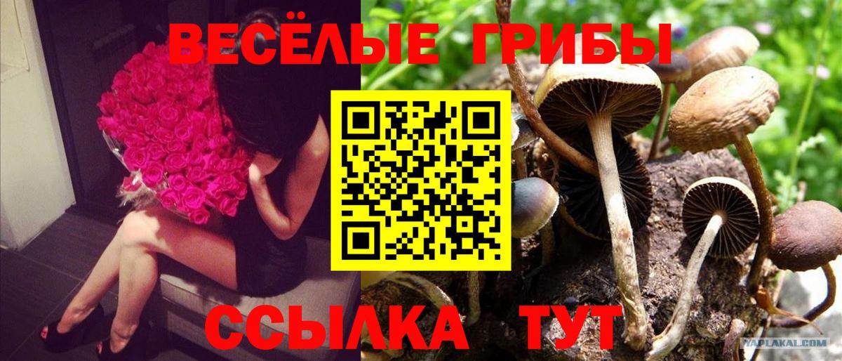 Псилоцибиновые грибы Magic Shrooms Нижний Тагил