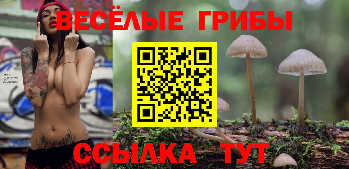 Псилоцибиновые грибы прущие грибы  Вход с VPN  Нижний Тагил  Галлюциногенные грибы Psilocybe 